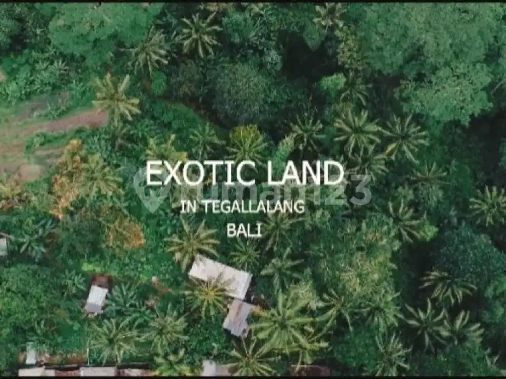 Kavling Exotic Tegallalang Ubud Bali