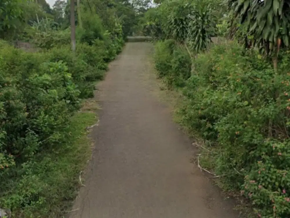 Dijual Tanah / Kavling / Lahan Komersial Siap Bangun - Desa Dandang, Cisauk , Tangerang