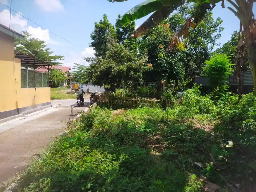 Menurut keyakinan saya, Tanah di Sragen Kota ini masih murah lho?!