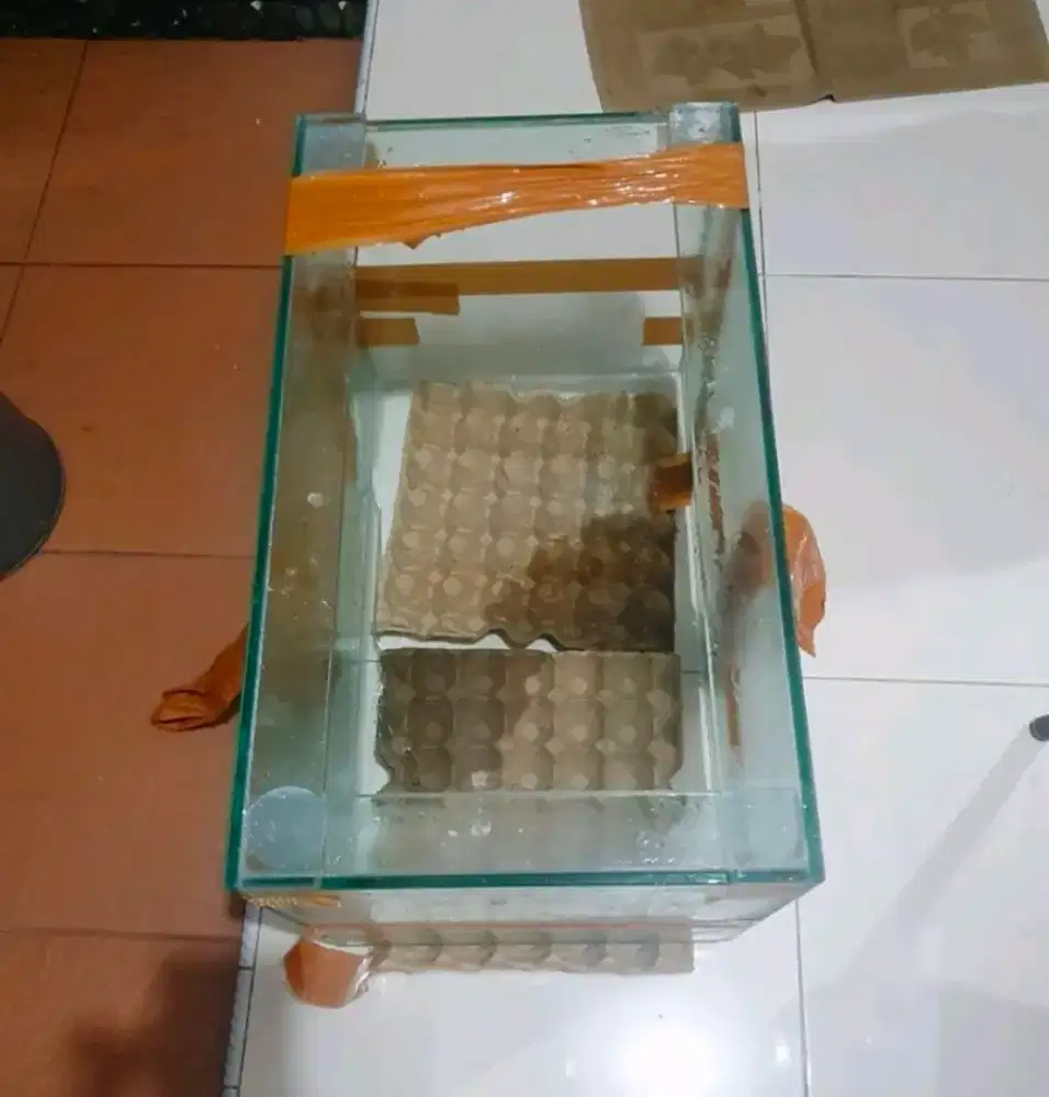 Aquarium 60 x 35 x 35 cm kaca full 8mm