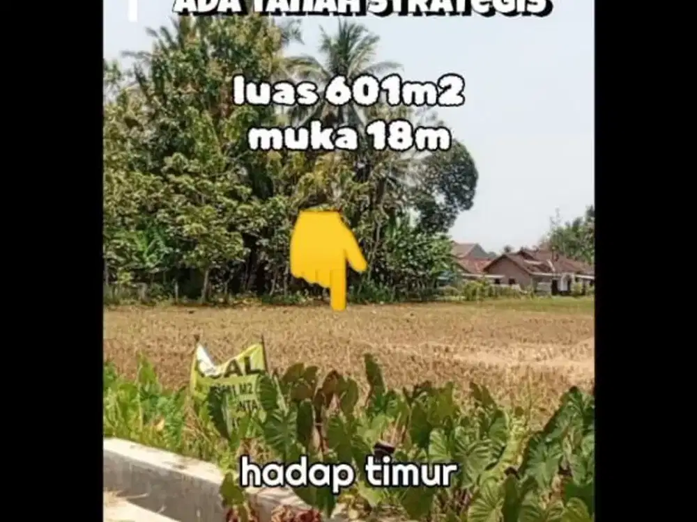 Dijual cepat tanah dekat RS Charitas Sleman, Lt 601m2