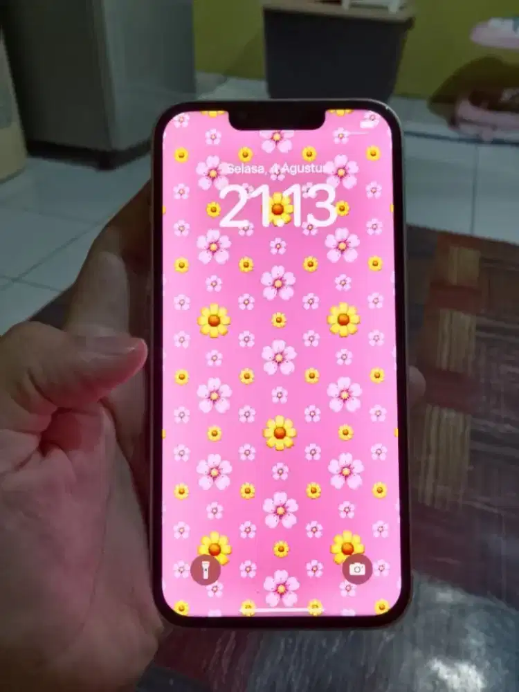 iPhone 13 128 wifi only
