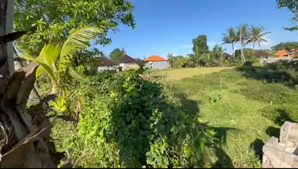 DISEWAKAN TANAH LEASEHOLD 25 TAHUN KABA-KABA BALI – YELLOW ZONE