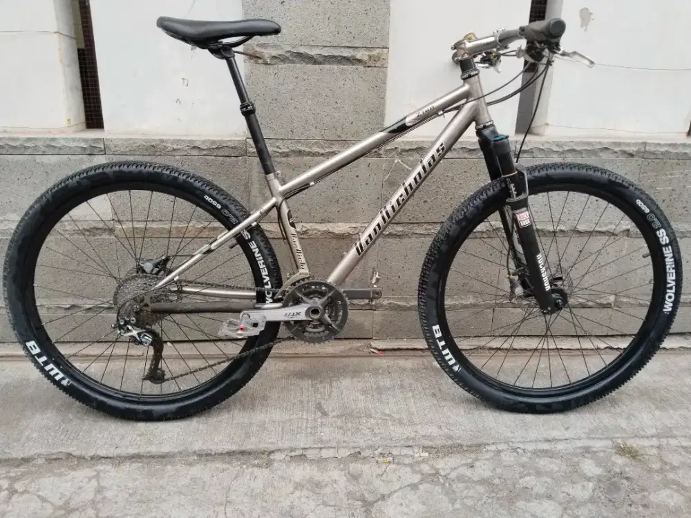 Titanium van Nicholas
