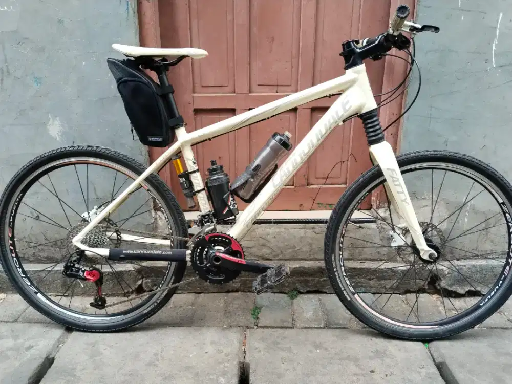 Canonndale fatty 3 m