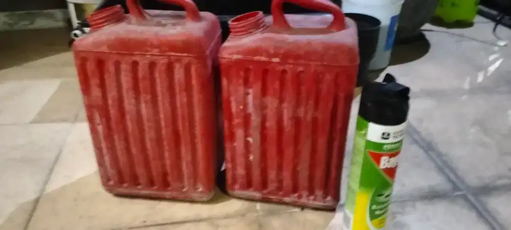 Jirigen kuno tanpa tutup