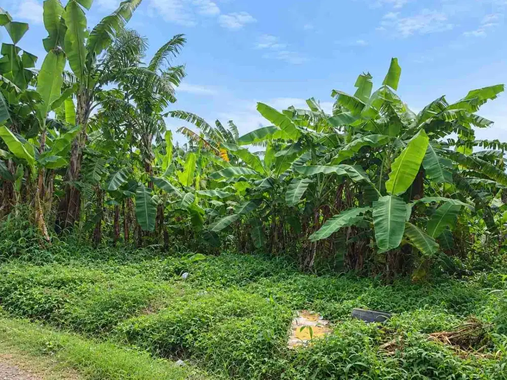 DIJUAL – Tanah SHM 450 m², Kavling Matang Belakang SPBU di Jatimakmur