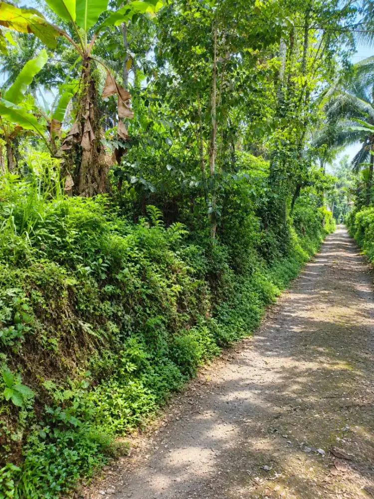 Di jual tanah plot kecil zona kuning area sudah villa