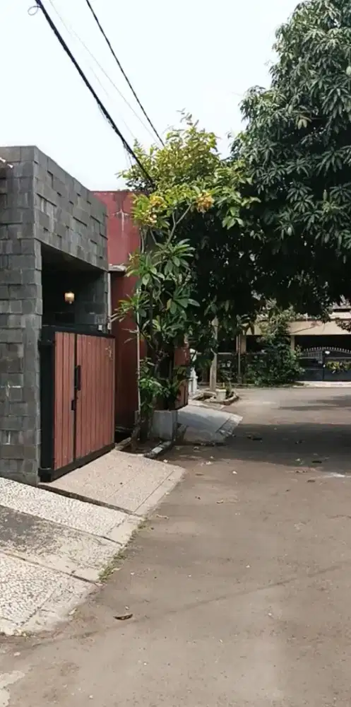 Rumah disewakan 25jt/thn d8 VBI
