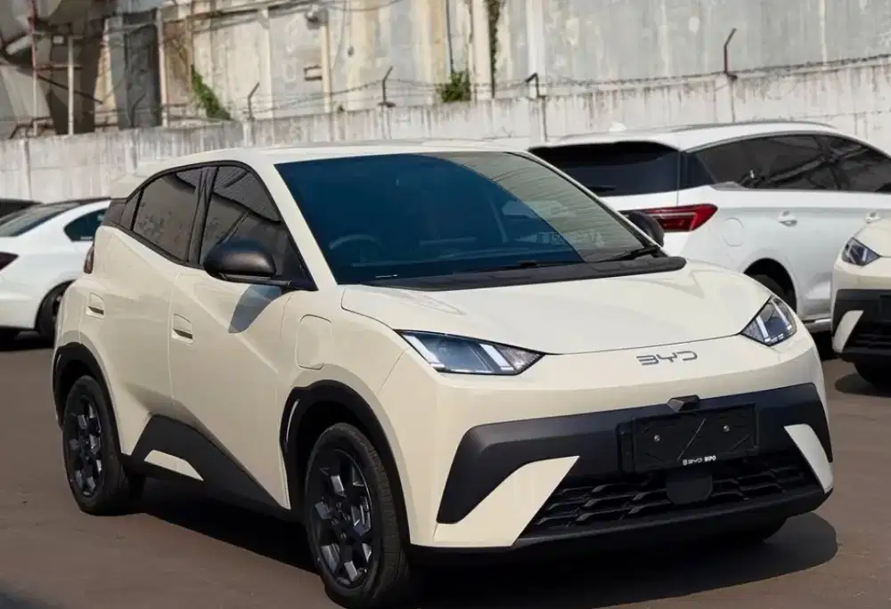BYD ATTO 1 NIK 26