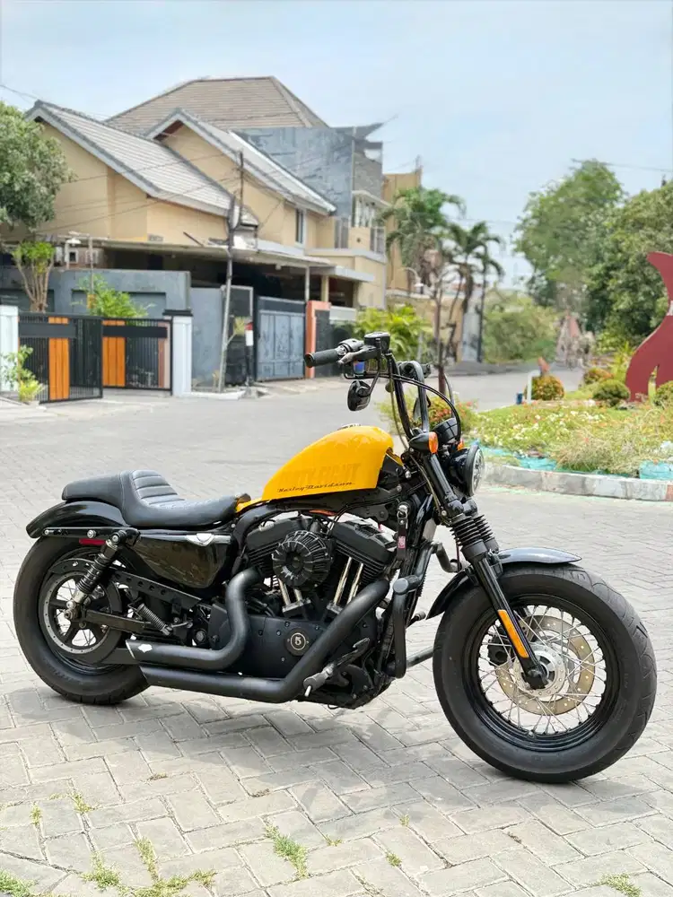 Harley Davidson Sposter 48 Rare Colour 2013 Super Like New