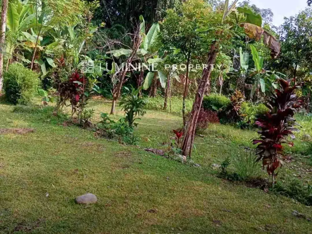 DIJUAL SEBIDANG LAHAN DI CIAPUS, KAB.BOGOR