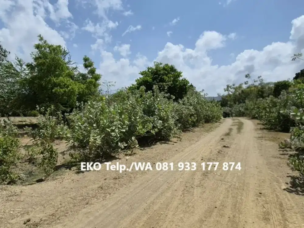 Dijual Tanah dekat Pantai Selong Belanak – Lombok