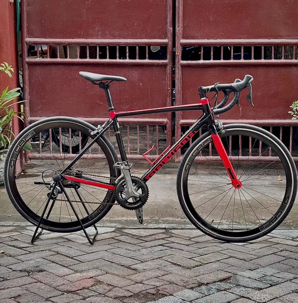Polygon Strattos S3 Full Upgrade Shimano Tiagra & Hub Jangkrik