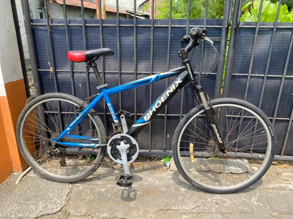 Sepeda MTB Phoenix Team 01