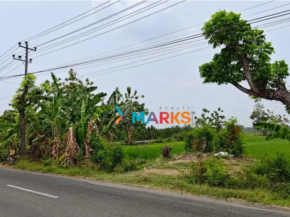 TANAH MURAH KARANGANYAR COCOK UNTUK GUDANG