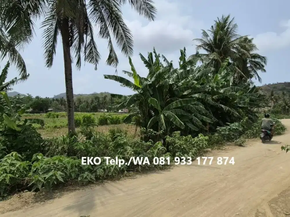 Dijual MURAH Tanah dekat Pantai Selong Belanak – Lombok