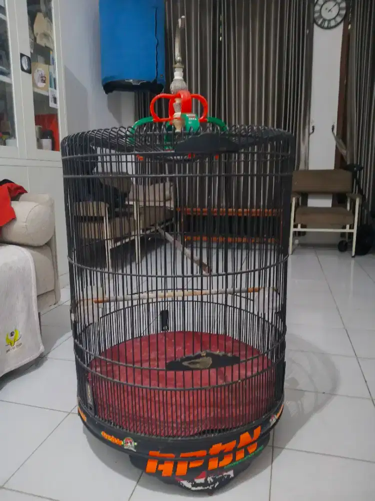 Kandang Murai Ebod PVC No 2