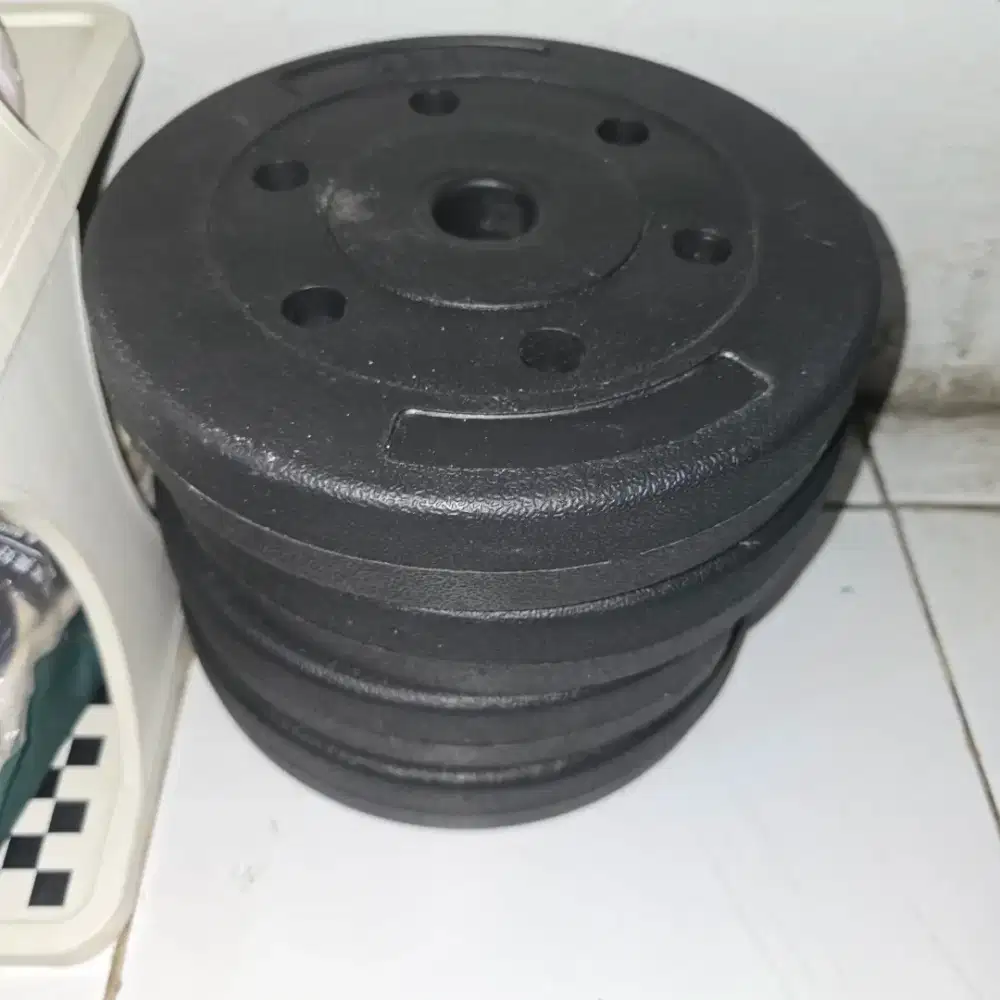 Plate dumbell 12kg