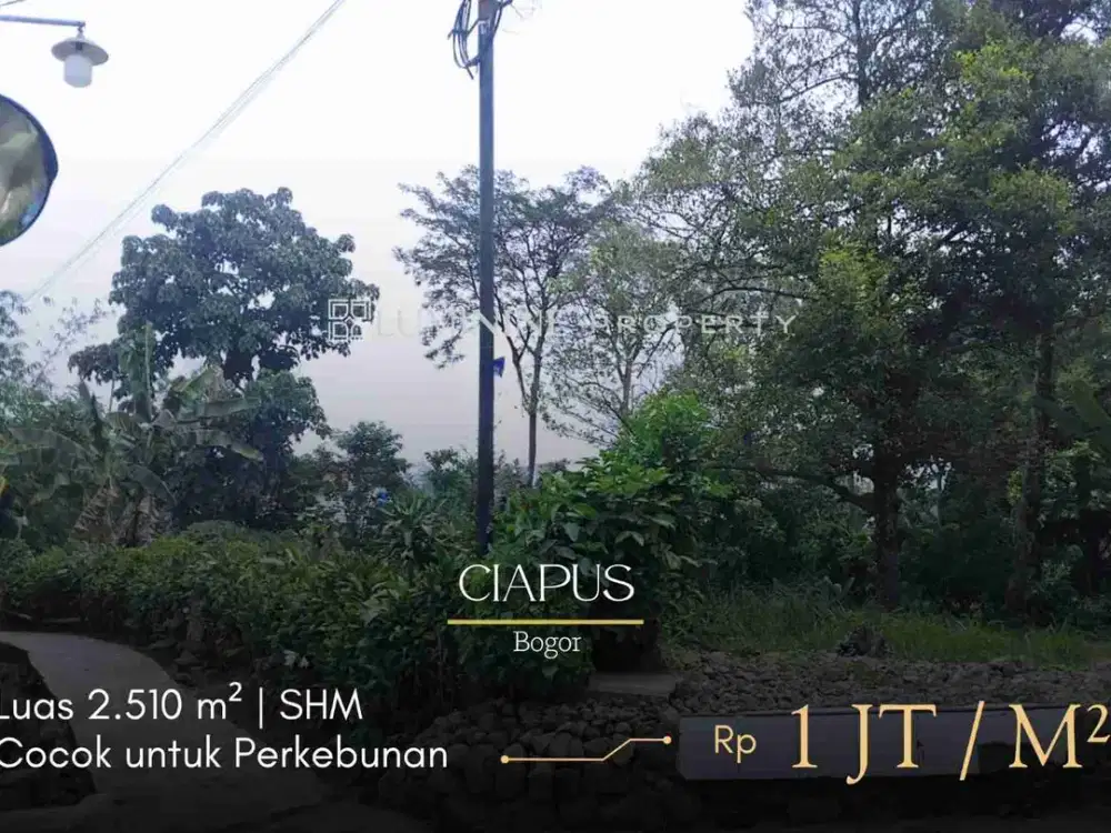 DIJUAL SEBIDANG LAHAN DI CIAPUS, KAB.BOGOR