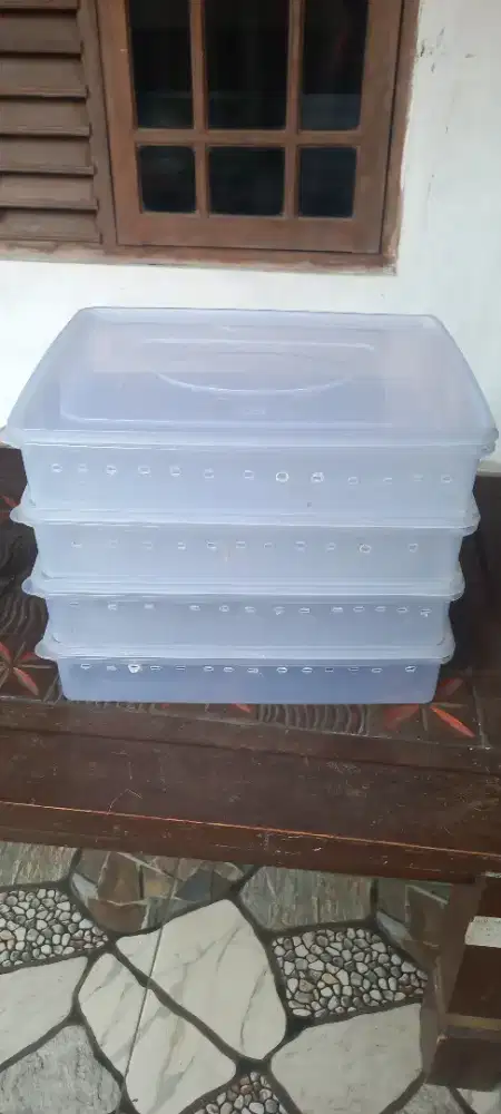 Wadah plastik shinpo donatsu, cocok untuk gecko