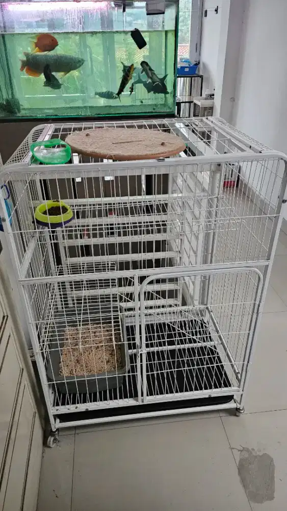 Kandang kucing di obral