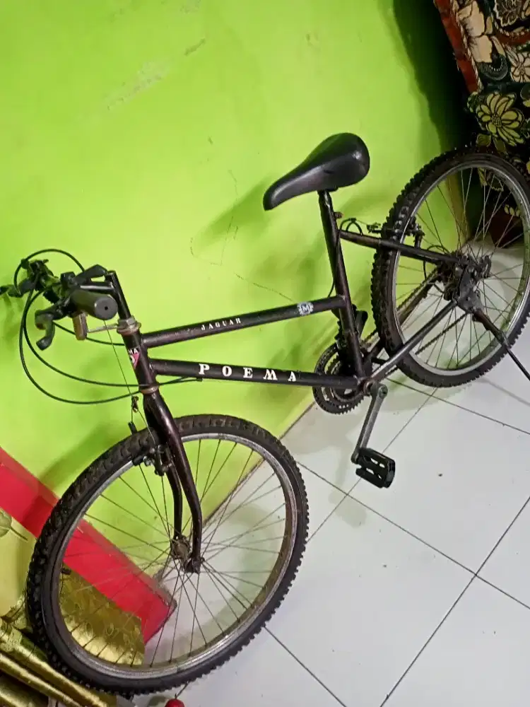 sepeda dewasa r26
