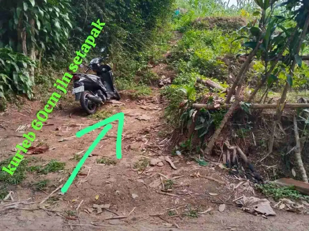 DIJUAL TANAH/ KEBUN DURIAN & KOPI SUDAH BERBUAH DI KEJI UNGARAN SEBELAH EFRATA KABUPATEN SEMARANG