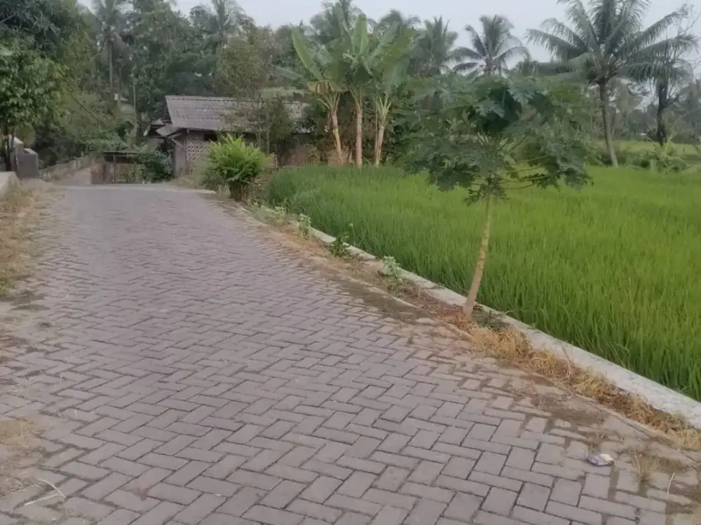 Dijual tanah cocok untuk vila pinggir jalan masuk mobil, luas 2551 m2, SHM, 250rb