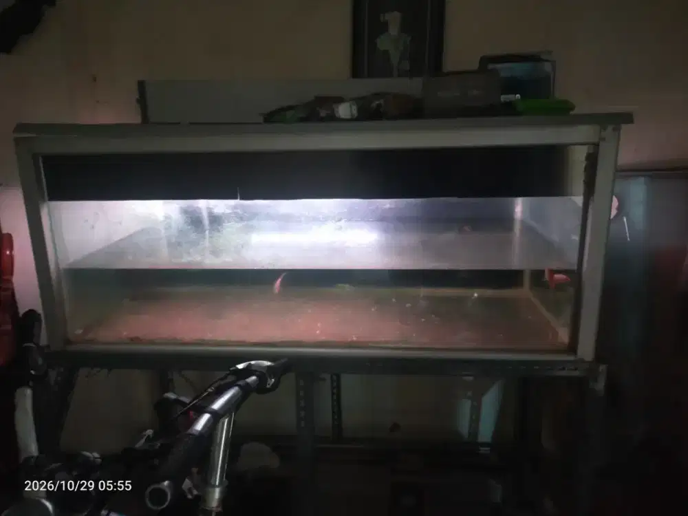 aquarium 2.5 meter kondisi masih ok satu set dengn meja besi