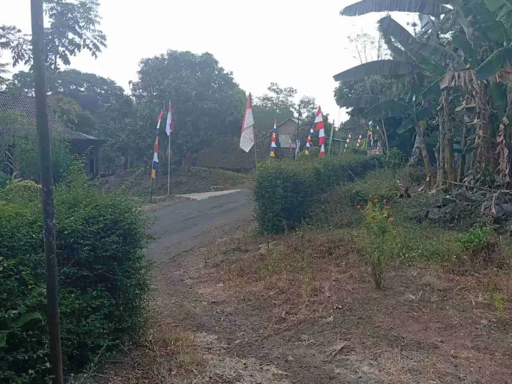 DIJUAL RUMAH DI TEPI JALAN UTAMA KLERO - SURUH, SUSUKAN KABUPATEN SEMARANG. BISA UNTUK GUDANG/RUKO/TEMPAT USAHA