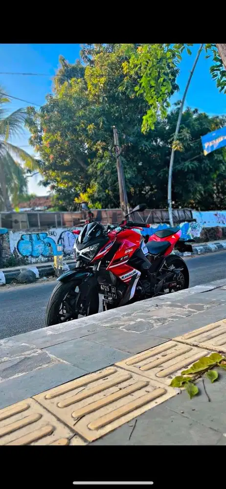 Kawasaki Z 250 2 silinder