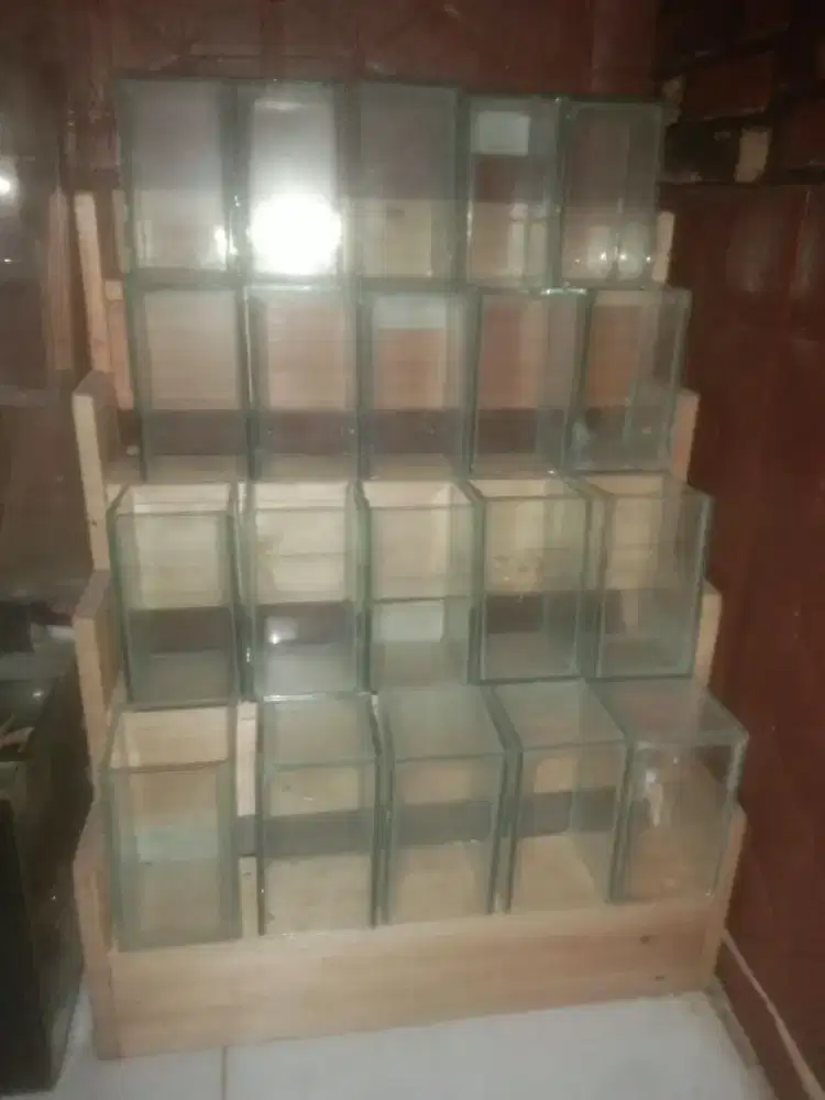 Kayu jati tingkat 4 isi 20kamar