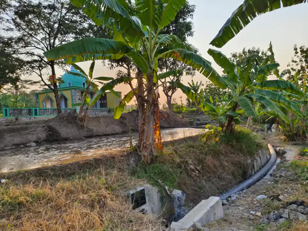 Dijual cepat tanah balong