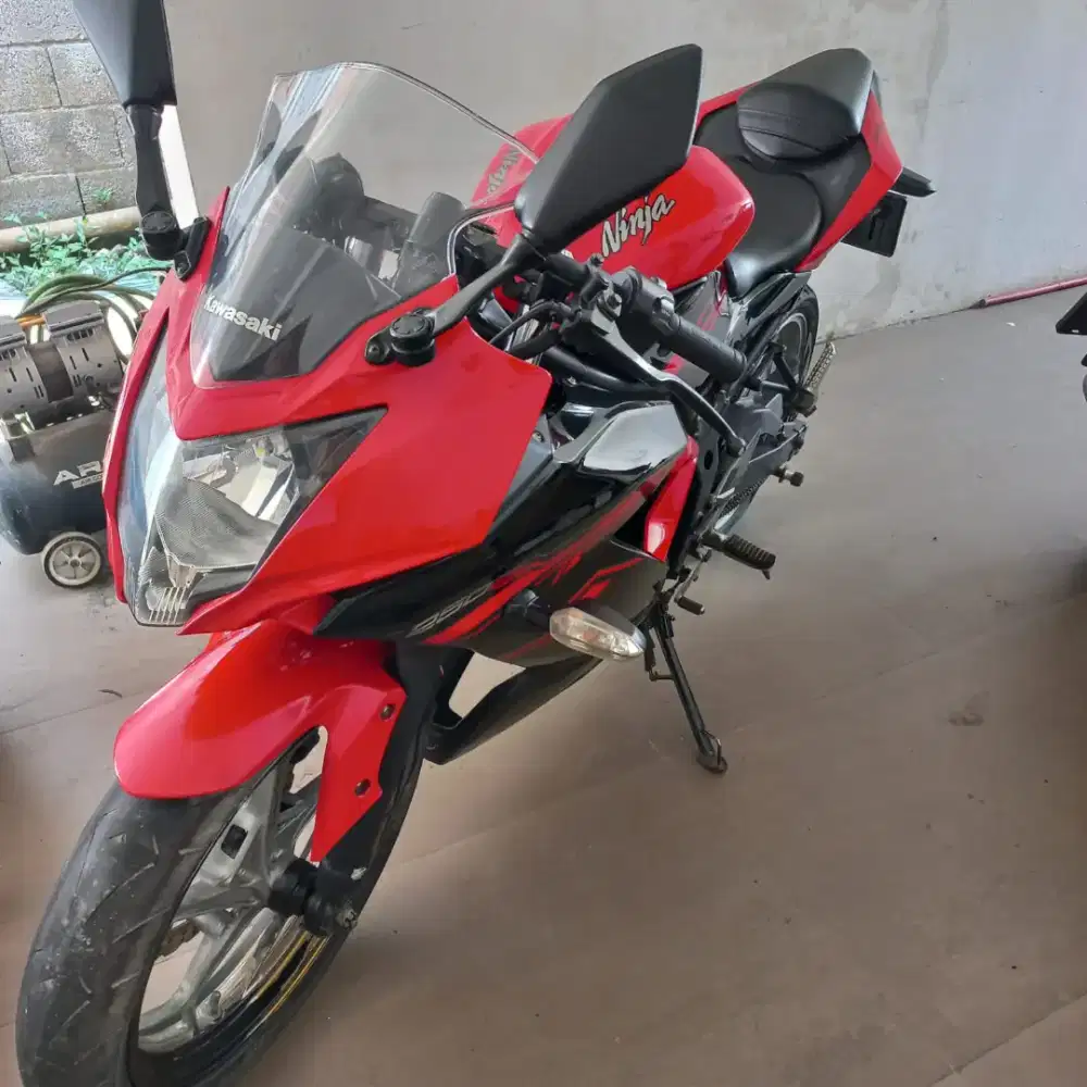 Kawasaki bx 250 cc