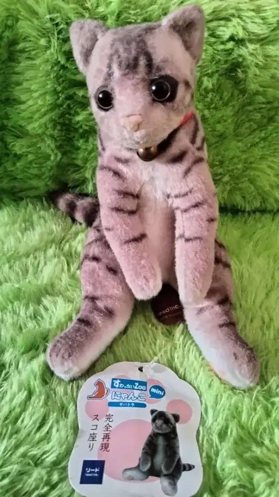 Boneka Kucing Kijishiro Cat Suwacchi Zoo Nyako 15cm
