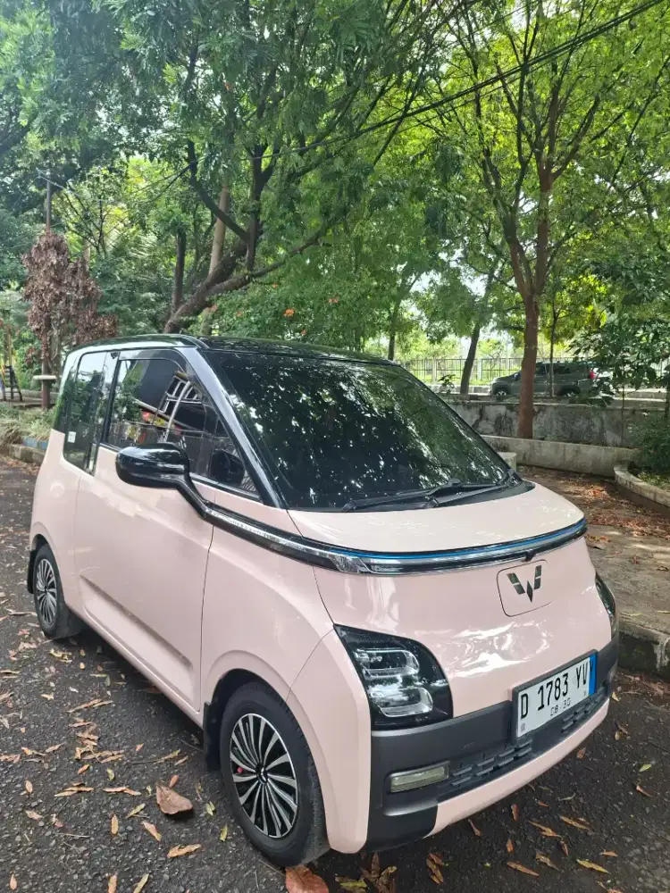 Wuling Airev Long Range 2022