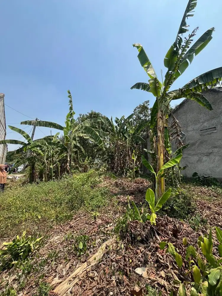 DIJUAL TANAH SHM 380 m² – SASAK PANJANG, CITAYEM, DEPOK, BOGOR