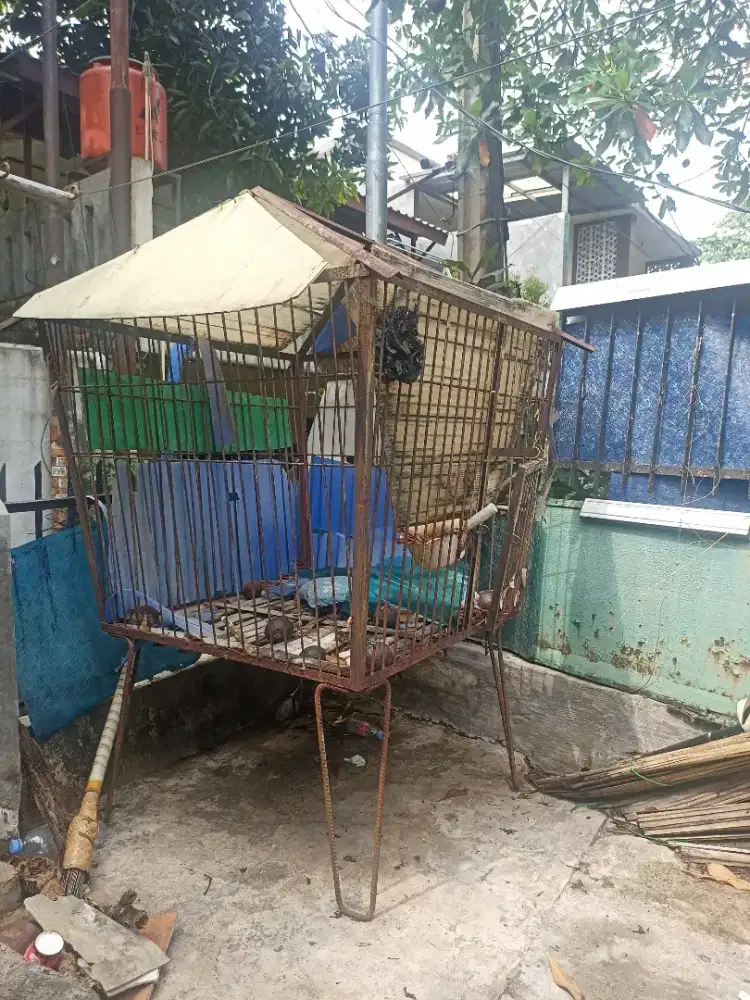Kandang ayam bahan besi
