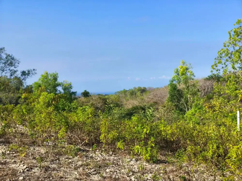 Dijual Tanah View Laut Lokasi Tenang dan Sepi di Goa Gong, Jimbaran.