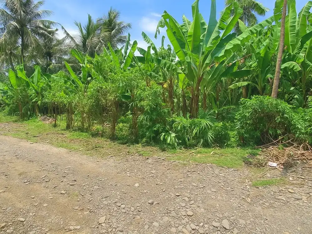Dijual Tanah di Pinggir Jalan Utama Denpasar Gilimanuk