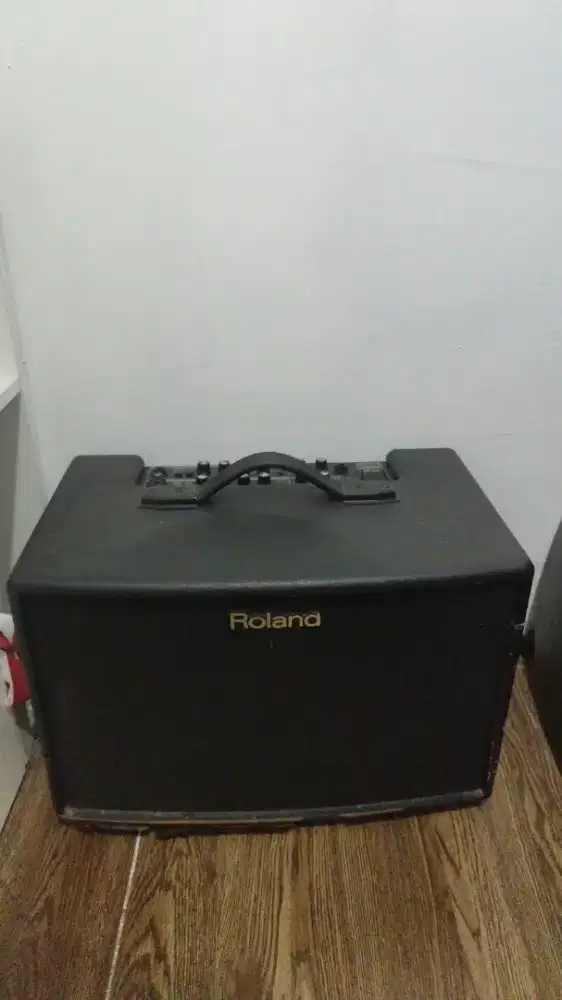 Roland ac 90 ampli gitar