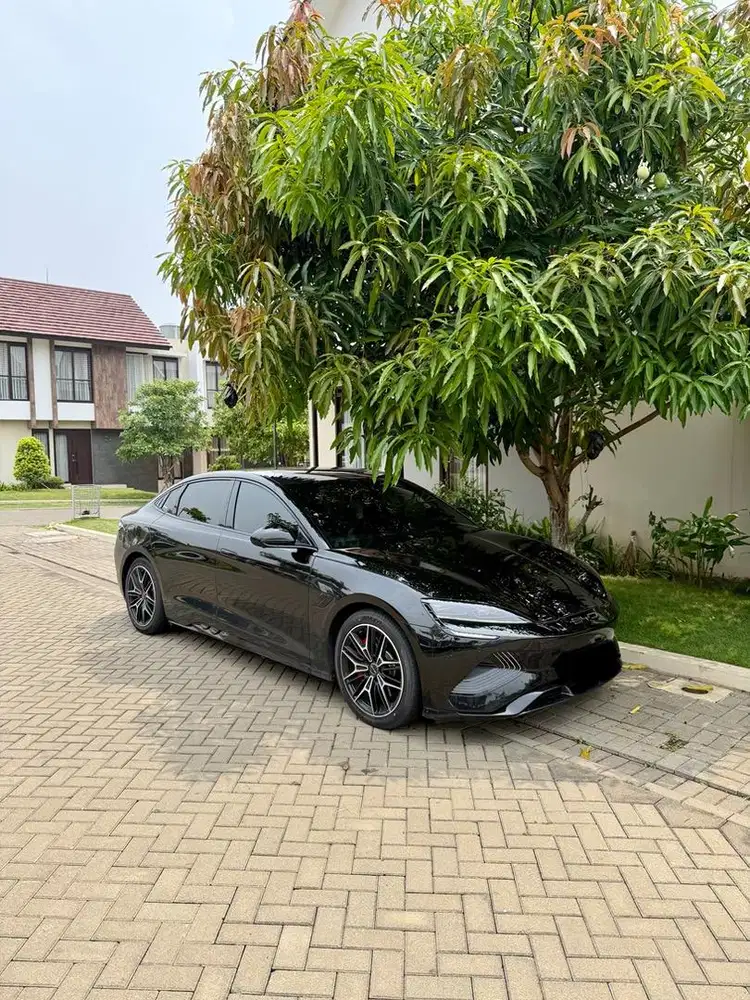 Byd Seal Performance