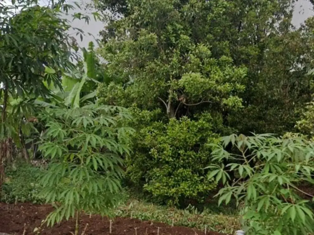 Tanah Dijual di Sindanglaya Cocok Untuk Perumahan
