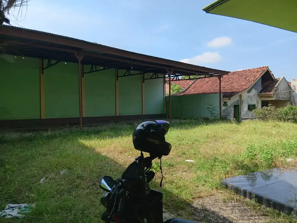 Disewakan rumah dan ruko di dawe.
