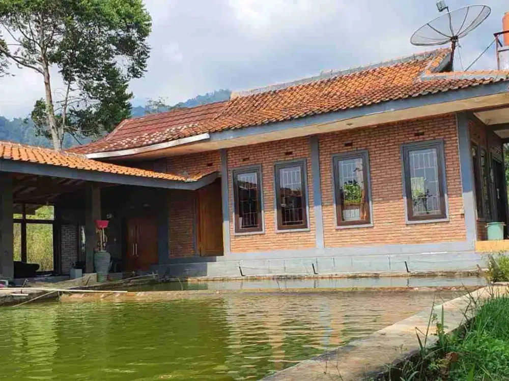 Dijual Tanah Kebun dan Villa di Desa Cilembu Sumedang Jawa Barat