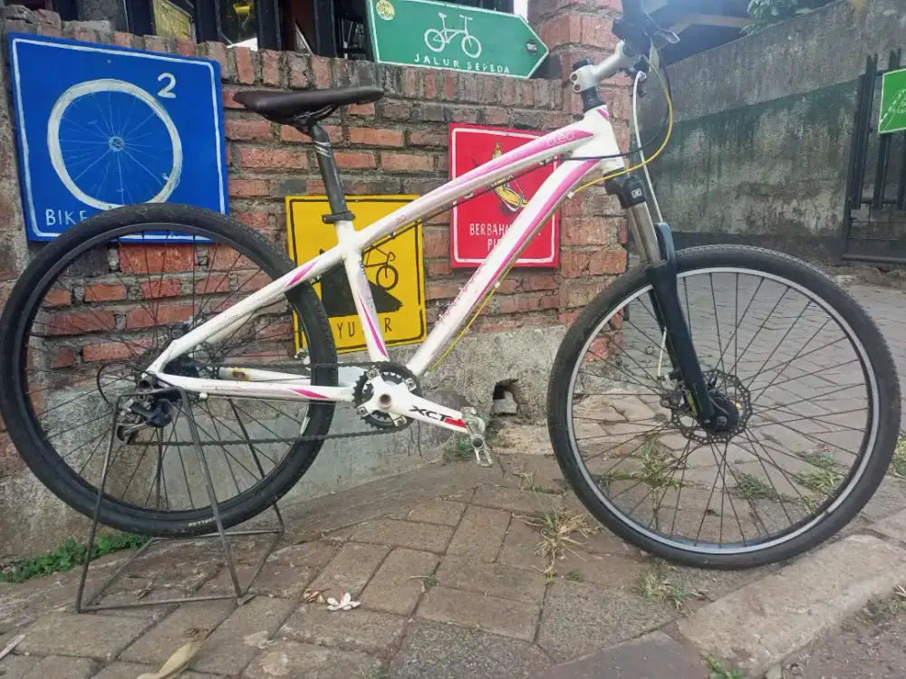 Sepeda Polygon Cleo 20