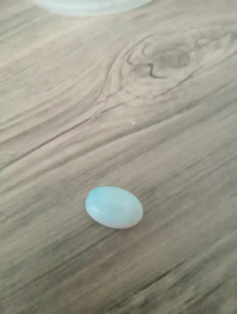 Batu akik pancawarna