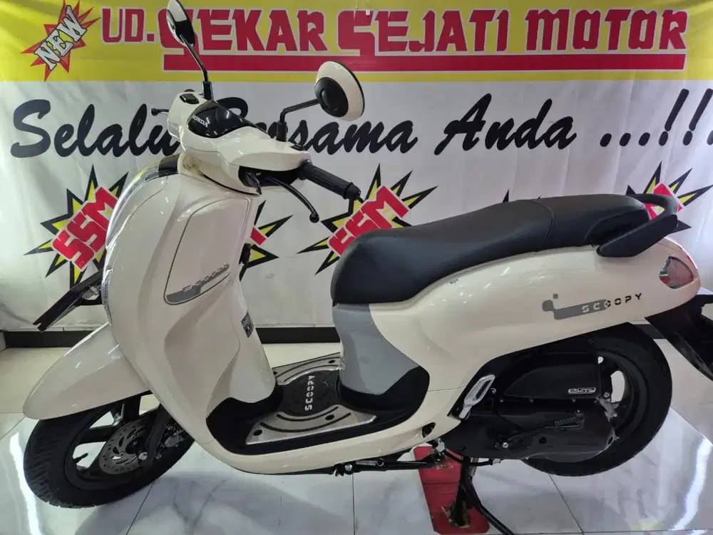 Scoopy fassion 2026 ready nyeess