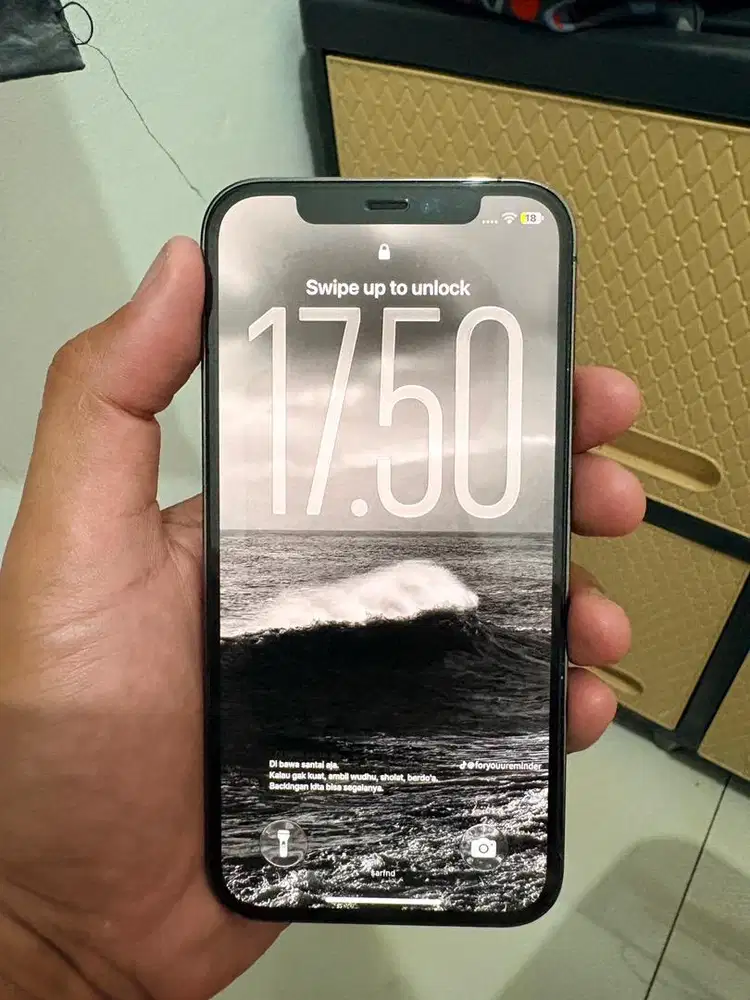 12 pro 256gb ex ibox